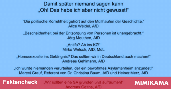 Ja, diese AfD-Zitate sind echt – und hier sind die Beweise
