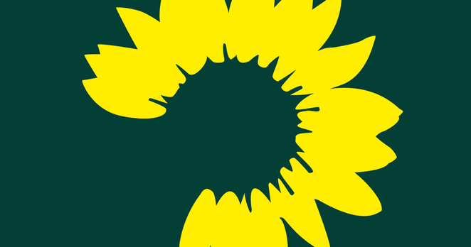 Eine gelbe Sonnenblume-Blüte auf grünem Untergrund