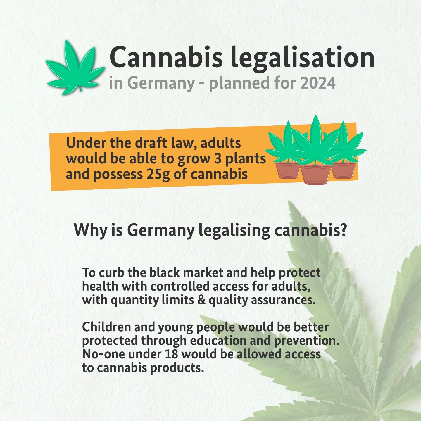 German Embassy London Germany Plans To Legalise Cannabis The Draft   89a2b870875b3bec 