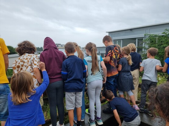 Rückansicht der Kinder-Feriengruppe bei der Freilassung der Ringelnatter im Schulgarten