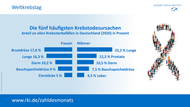 Die Grafik zeigt ein Diagramm mit den 5 häufigsten Krebstodesursachen für Frauen und Männer. Frauen: Brustdrüse (17,6 %), Lunge (16.3 %), Darm (10,2 %), Bauchspeicheldrüse (9 %), Eierstöcke (5 %). Männer: Lunge (22,2 %), Prostata (12,3 %), Darm (10,5 %), Bauchspeicheldrüse (7,5 %), Leber (4,5 %).