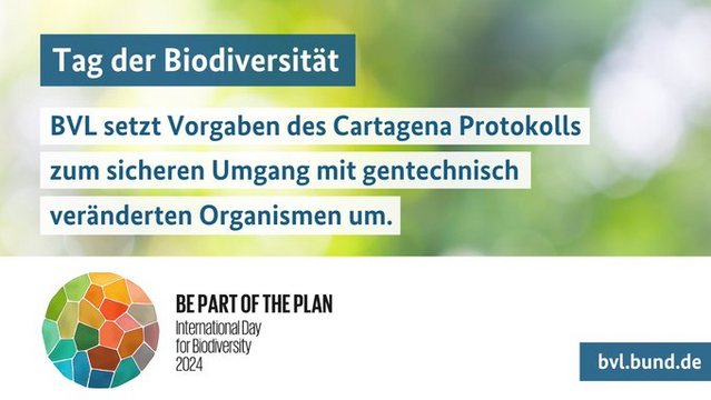 Tag der Biodiversität
BVL setzt Vorgaben des Cartagena Protokolls zum sicheren Umgang mit gentechnisch veränderten Organismen um.