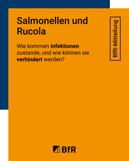 Salmonellen und Rucola – Wie kommen Infektionen zustande, und wie können sie verhindert werden?