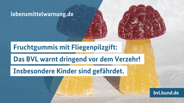 Fruchtgummis mit Fliegenpilzgift: Das BVL warnt dringend vor dem Verzehr! Insbesondere Kinder sind gefährdet.
