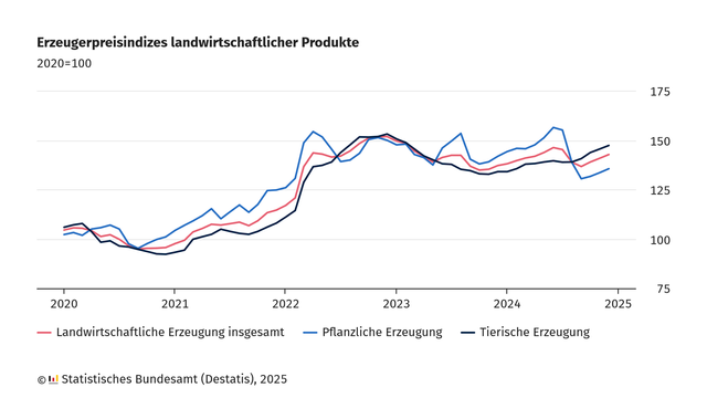 Die Grafik zeigt die Erzeugerpreisindizes landwirtschaftlicher Produkte von 2020 bis 2025 mit dem Basisjahr 2020 (=100). Drei Linien stellen die Preisentwicklung dar: Landwirtschaftliche Erzeugung insgesamt (rote Linie), Pflanzliche Erzeugung (blaue Linie) und Tierische Erzeugung (schwarze Linie). Die Preisindizes steigen bis Ende 2022 mit Schwankungen deutlich an, wobei pflanzliche Erzeugnisse stärkere Ausschläge zeigen. Danach gibt es nur leichte Rückgänge mit starken Schwankungen. Zuletzt geht der Erzeugerpreisindex für Pflanzliche Erzeugung stärker zurück. Quelle: Statistisches Bundesamt (Destatis), 2025.